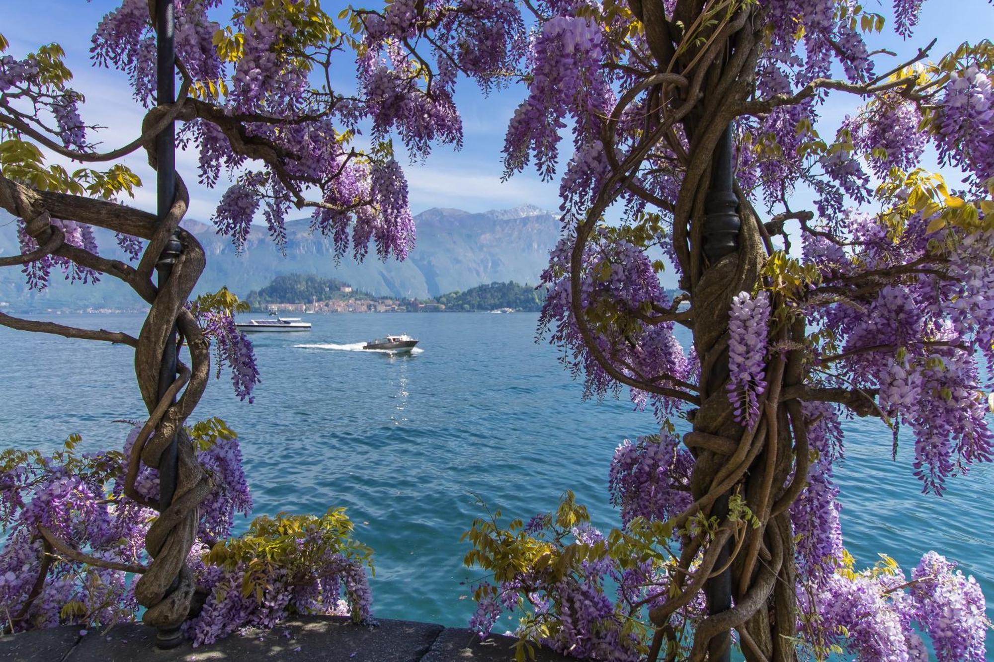 Il Panorama Di Forster Apartment Menaggio Exterior foto